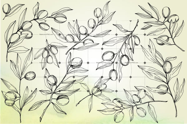 Vector 200 Files Of Olives Flower