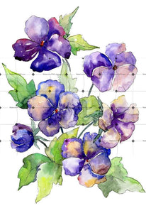 Watercolor Bouquet Of Purple Viola Png Set Flower