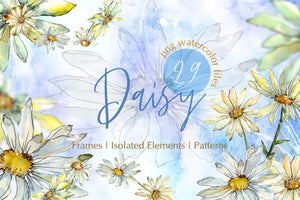 Watercolor Daisy PNG set Digital