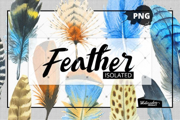 Watercolor Feather Png And Patterns Digital