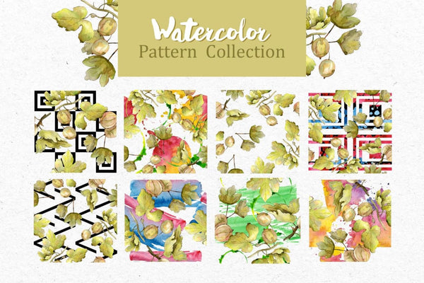 Watercolor Gooseberry PNG collection Digital