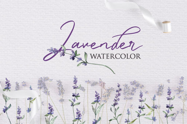 Watercolor Lavender PNG collection Digital