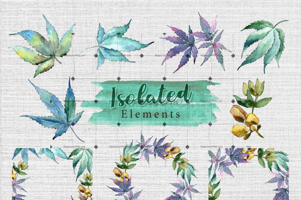 Watercolor Weed Leaves Png Set Digital