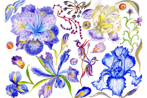 Weekly watercolor bundle 12/09/19 Bundle