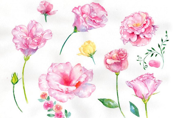 Weekly watercolor bundle 12/09/19 Bundle