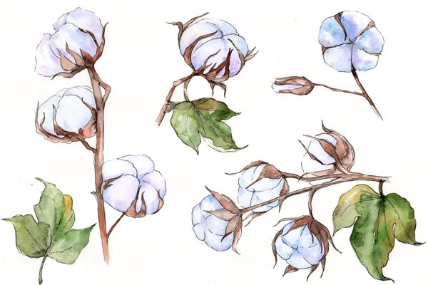 Weekly watercolor bundle 20/09/19 Bundle