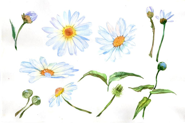 Weekly watercolor bundle 20/09/19 Bundle