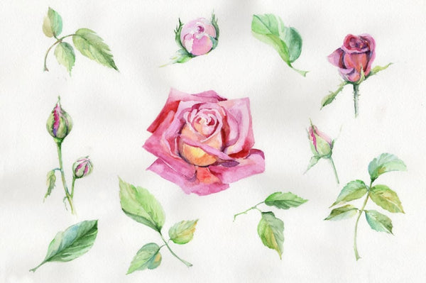 Weekly watercolor bundle 20/09/19 Bundle
