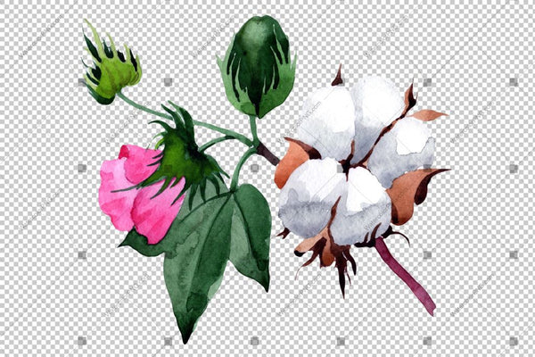 White Cotton With Pink Flowers Watercolor Png Flower