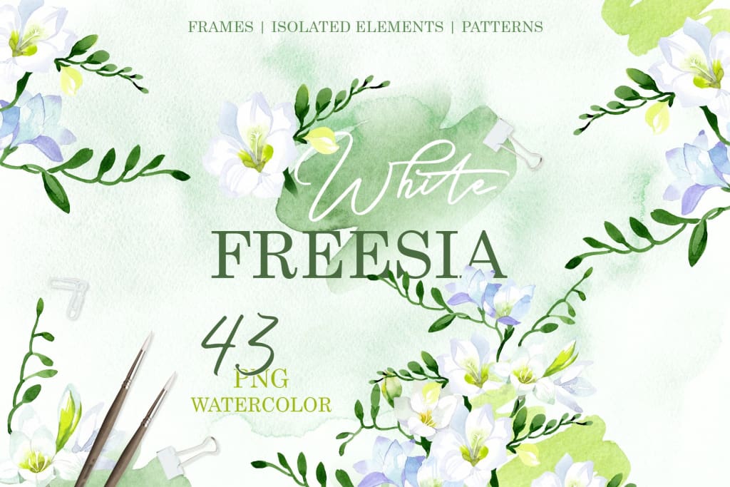 White Freesia Watercolor png Digital