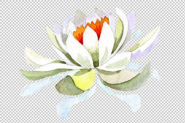 White lotus flower watercolor png Flower