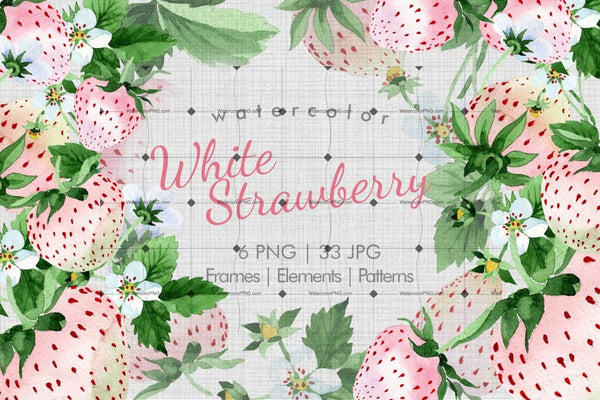White Strawberry Png Watercolor Fruit Set Digital