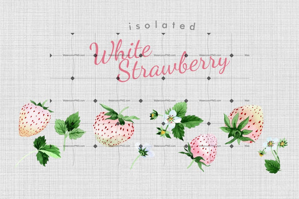 White Strawberry Png Watercolor Fruit Set Digital