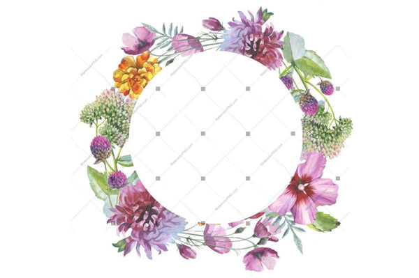 Wild Flowers Watercolor Png Clipart Digital