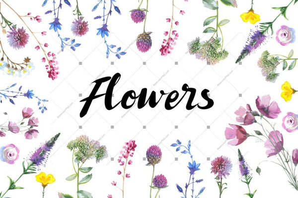 Wild Flowers Watercolor Png Clipart Digital