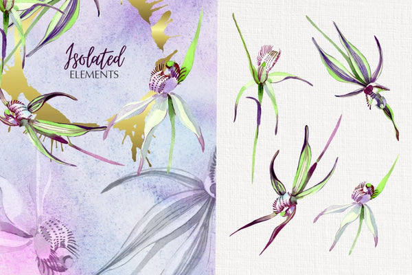 Wild orchid Watercolor png Digital