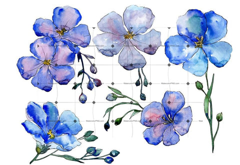 Wildflower Blue Flax Png Watercolor Set Flower