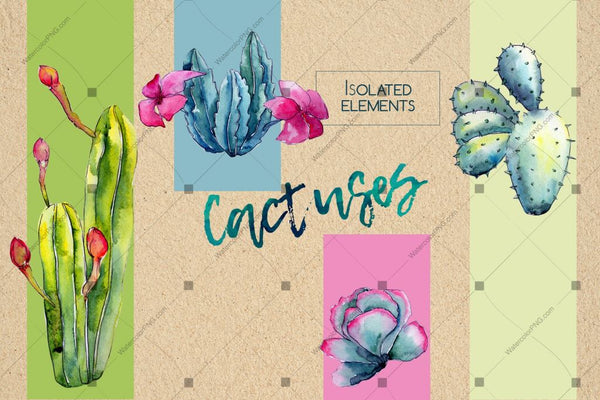 Wildflower Cactus Png Watercolor Set Digital