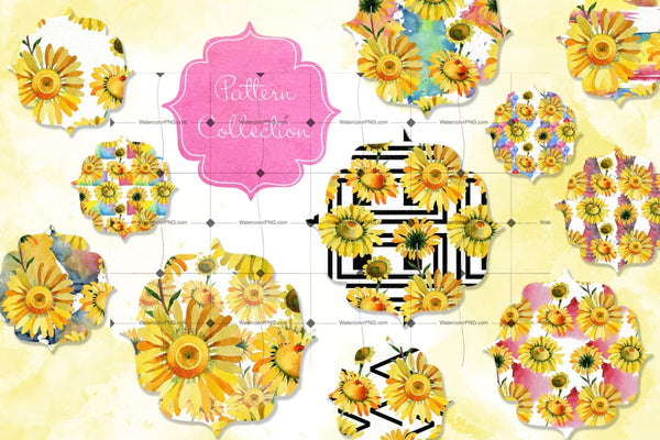 Wildflower Yellow Chamomile Png Watercolor Set Digital