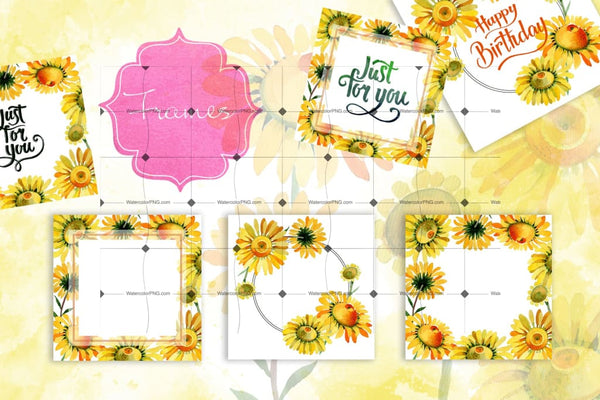 Wildflower Yellow Chamomile Png Watercolor Set Digital