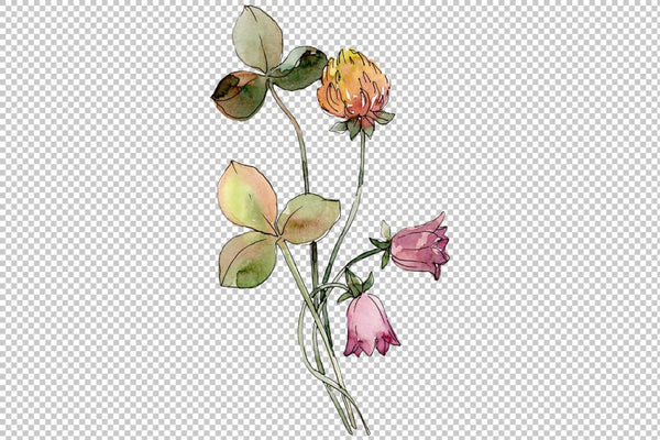 Wildflowers Watercolor png Digital