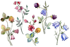 Wildflowers Watercolor png Digital