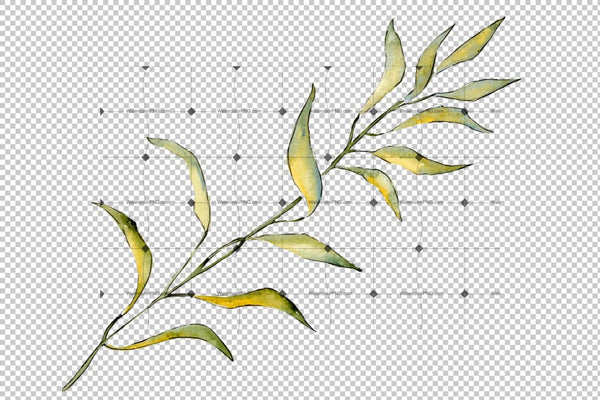 Willow Branches Png Watercolor Set Digital