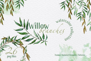 Willow branches Watercolor png Digital