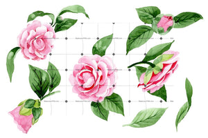 Wonderful Pink Camellia Png Watercolor Set Flower