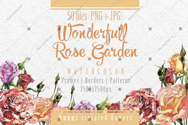 Wonderful Rose Garden Png Watercolor Set Digital