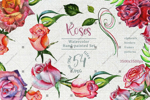 Wonderful Roses Png Watercolor Flower Set Digital