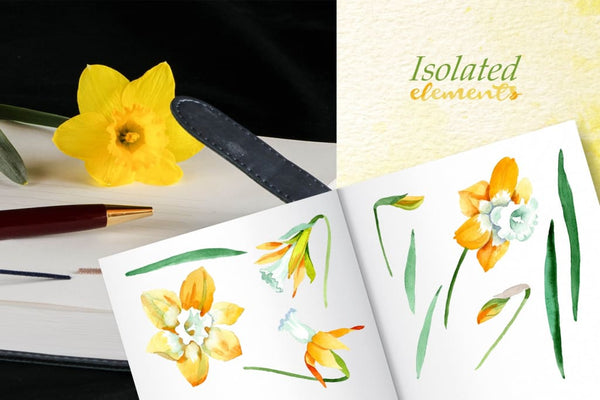 Yellow daffodil Watercolor png Digital