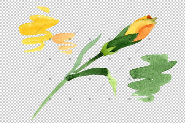 Yellow Dianthus Png Watercolor Flower Set Flower