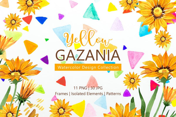 Yellow gazania Watercolor png Digital